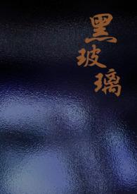 黑色玻璃柜门效果图