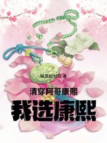 清穿康熙阿哥文