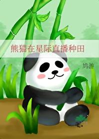 星际熊猫幼崽