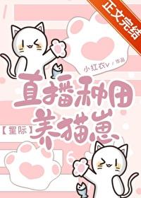 直播 种田