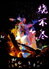 烧不尽番外