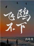 飞鸥不下广播剧