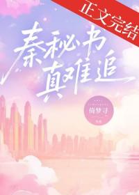 秦宓简介