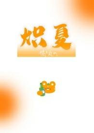 炽夏讲的是什么