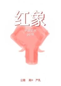 红象(公媳高H)- 71刘雪的试探和行李箱-都市-夜书吧