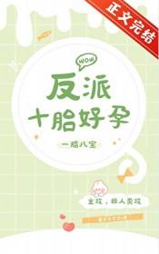反派十胎好孕番外免费阅读笔趣阁
