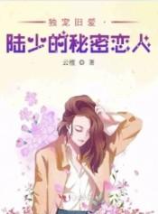 独宠旧爱陆少的秘密恋人全文免费阅读