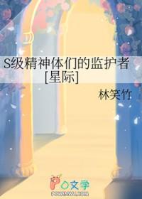 精神体设定