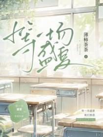 等一场盛夏晋江文学城