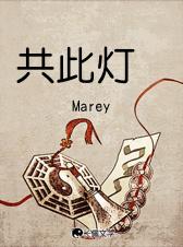 共此灯在线阅读