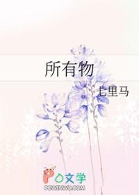 所有物主代词