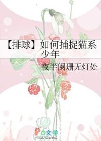 排球少年招式