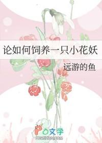 论如何饲养一只小宠