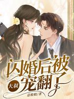 闪婚后大叔每天狂宠我免费阅读