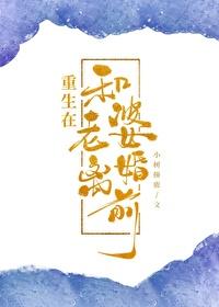 重生在和老婆离婚前免费阅读全文