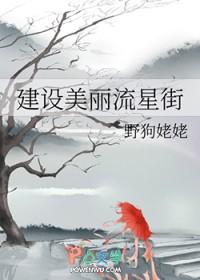 猎人同人建设美丽流星街
