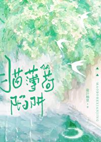 猫薄荷陷阱 by盐汁柚里