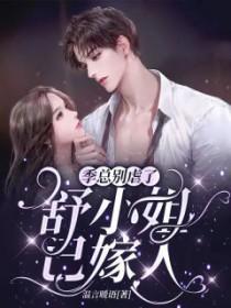 舒小姐已嫁人舒晚有小孩吗