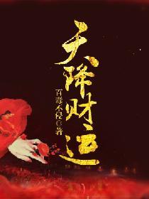 天降财运TXT免费