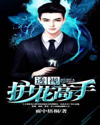 透视高手混花都市