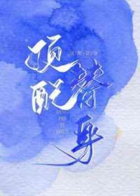 顶配替身by临安讲什么