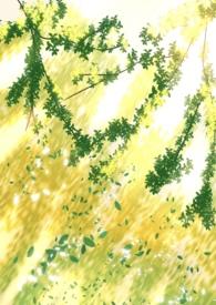 阴暗普女但第三者最新章节