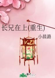 兄长在上无防盗章节