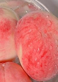 白桃(父女)笔趣阁免费阅读