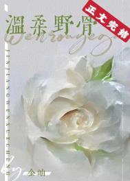 温柔野骨晋江