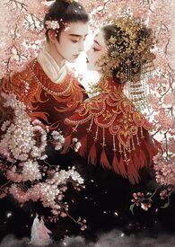 帝娈全文免费阅读完结