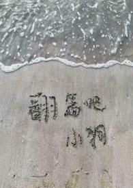 金主爸爸们也需要竞聘上床by小浪在流浪