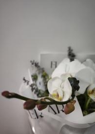 我的未婚妻欲求不满中女主和女二是同一个人吗