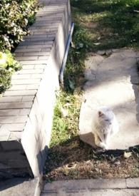 媚欢by百无顾忌笔趣阁最新章节