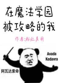 我在魔法学院任教的日子txt