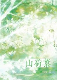 山荷叶合剂效果好吗?