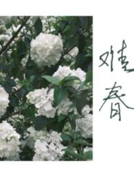 难春兄妹讲的什么