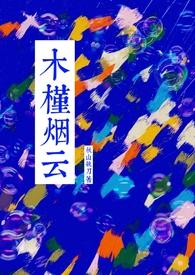 木槿烟云讲的什么