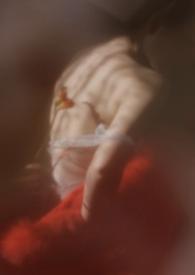 狐狸us