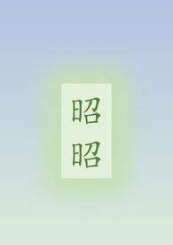 昭昭作品