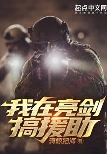 我在亮剑搞援助NB