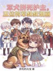 五位将军叔叔泪崩的小