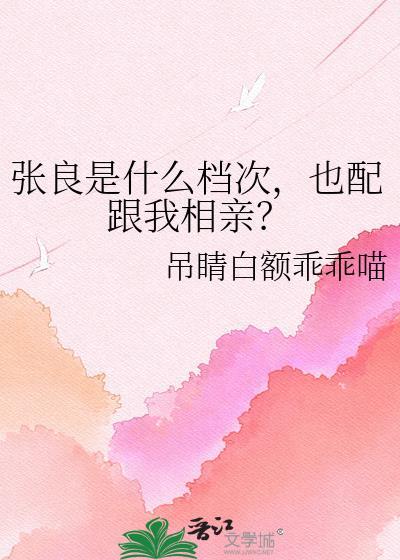 张良是什么官位