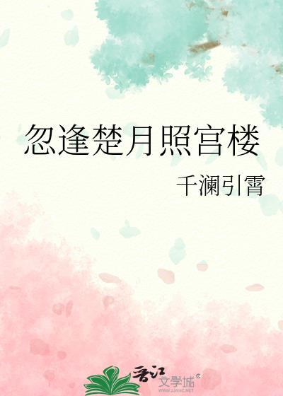 忽逢楚月照宫楼TXT