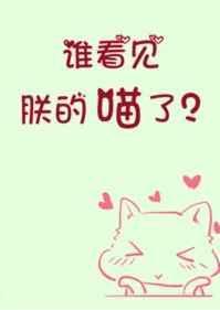 谁看见朕的喵了?微盘
