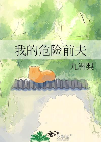 我的危险前夫晋江