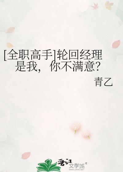 全职高手 轮回