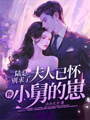 贺律师又沦陷了免费阅读