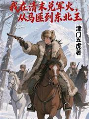我在清朝躺赢