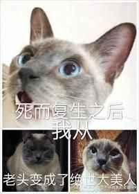 死而复生之后我从老头变成了绝世大美人作者黑猫白