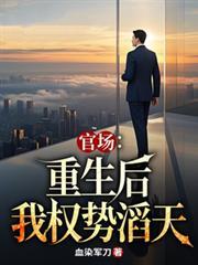 重生官场巅峰权力